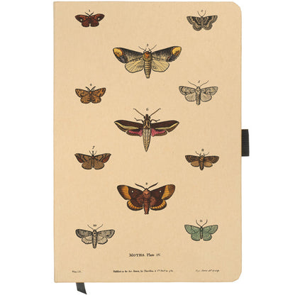 Moths Notebook
