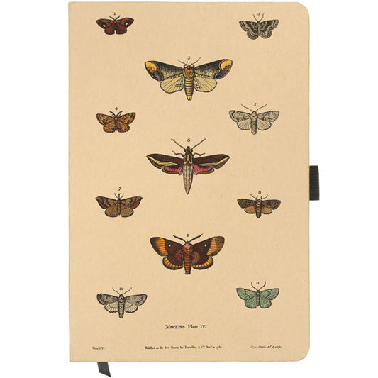 Moths Notebook