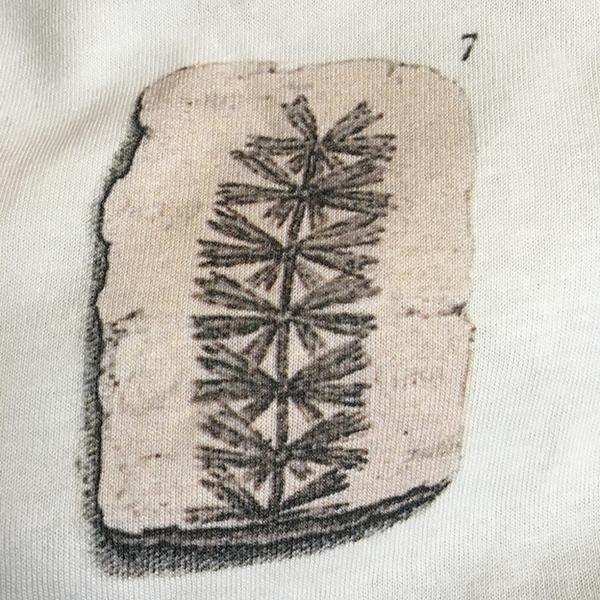 Eleven Fossils Unisex T-shirt