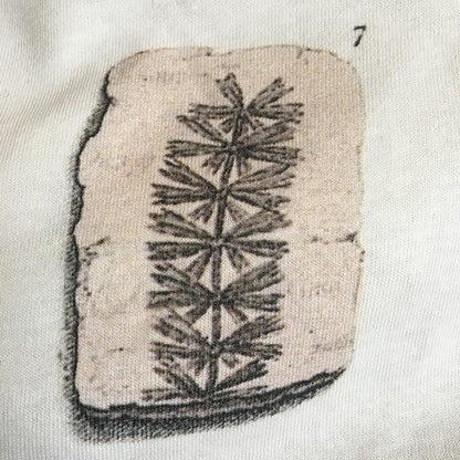Eleven Fossils Unisex T-shirt