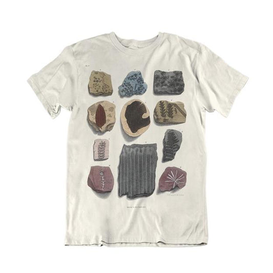 Eleven Fossils Children's T-shirt