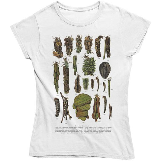 Caddis Fly Larvae Women's Fitted T-shirt