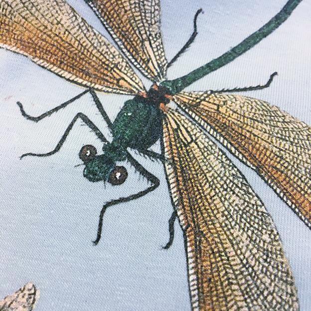 Damselflies Women's Fitted T-shirt