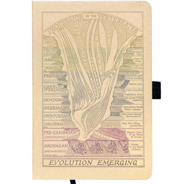 Evolution Emerging Notebook