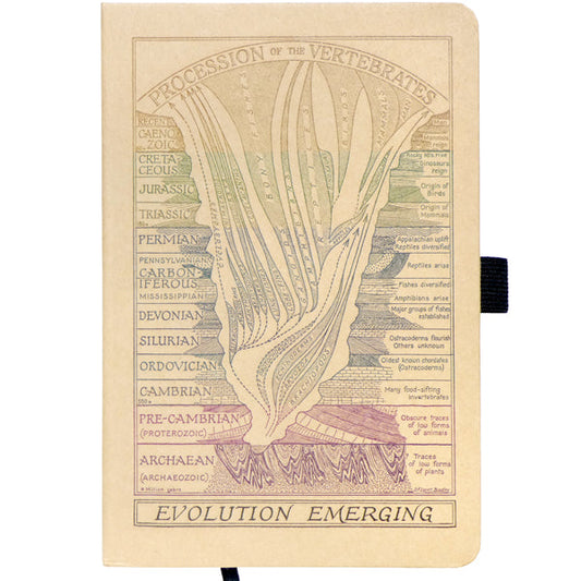 Evolution Emerging Notebook