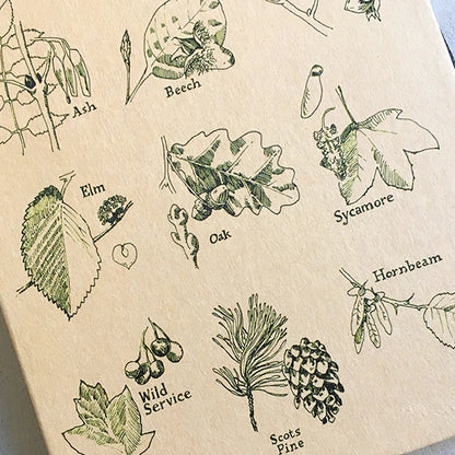 Leaf Identifier Notebook