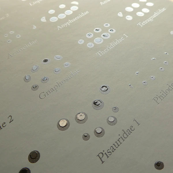 Spider Eye Arrangement Chart Notebook - grey