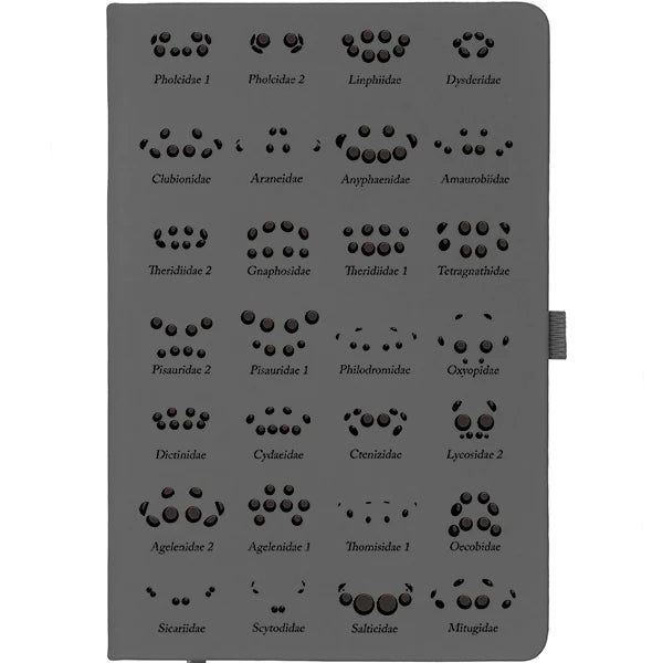 Spider Eye Arrangement Chart Notebook - grey