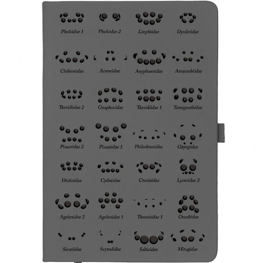 Spider Eye Arrangement Chart Notebook - grey